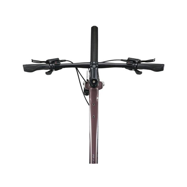 FastRoad AR 3 L Charcoal Plum