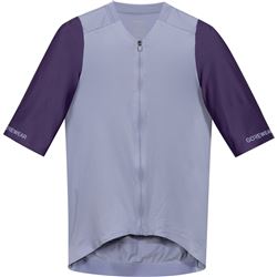 GORE Distance Jersey 2,0 Mens amethyst grey/purple indigo M
