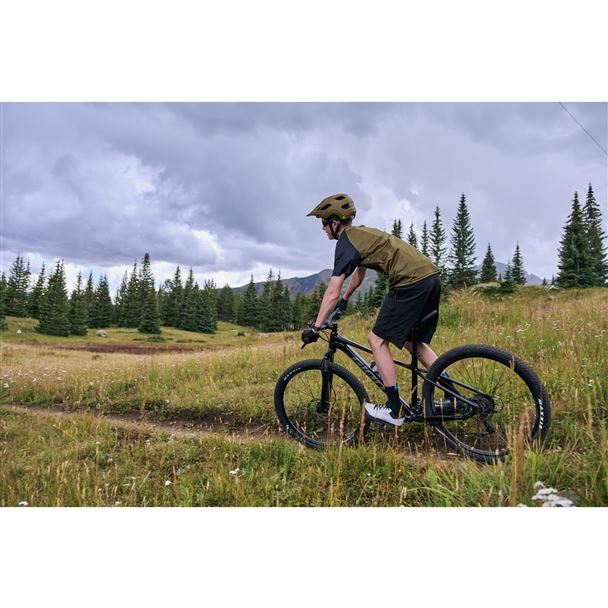 Talon 29 3 M Frost Silver