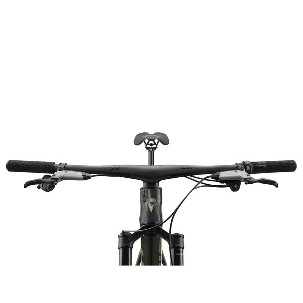 Anthem Advanced SL 0 M Raw Carbon