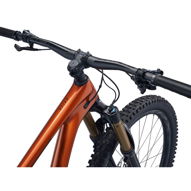 Reign Advanced Pro 29 1 L Amber Glow M22