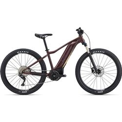 Tempt E+ 1 29er  M Figuier