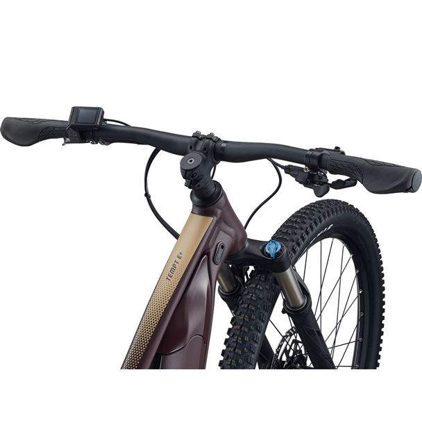 Tempt E+ 1 29er  M Figuier