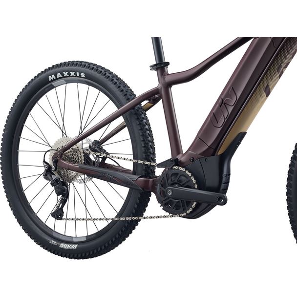 Tempt E+ 1 29er  M Figuier