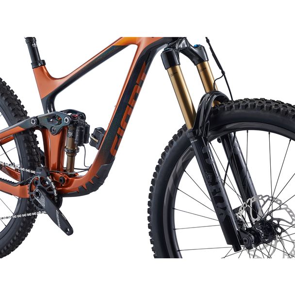 Reign Advanced Pro 29 1 L Amber Glow M22