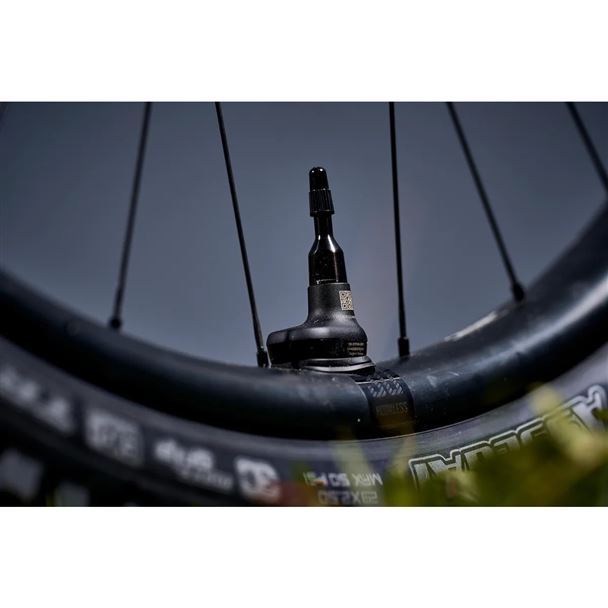 GIANT  Aegis Tire Checker - Compatible on certain ebikes with the new RideDash EVO or RideDash Contr