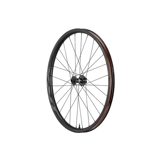 GIANT TRX 2 29 BOOST FW