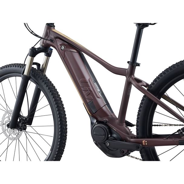 Tempt E+ 1 29er  M Figuier