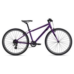 ARX 26 Purple M24