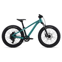 STP 20 FS-Giant One Size Teal
