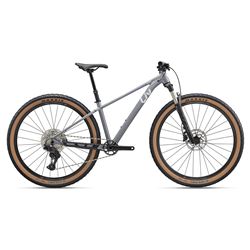 Tempt 29 0 S Stardust Grey