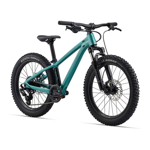 STP 20 FS-Giant One Size Teal