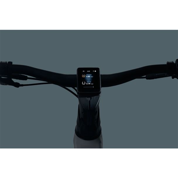 GIANT  Aegis Tire Checker - Compatible on certain ebikes with the new RideDash EVO or RideDash Contr