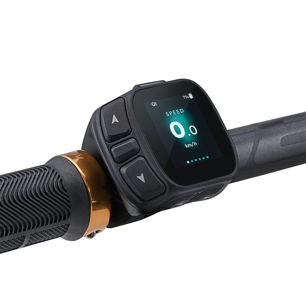 Embolden E+ 1 BOX M Pale Moss