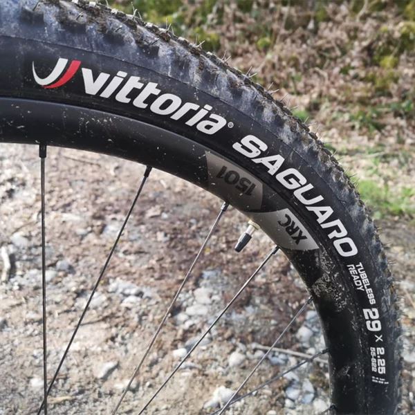 VITTORIA Saguaro 29x2.25 TLR Full Black