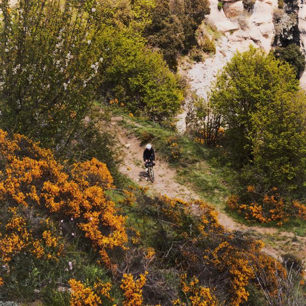 VITTORIA Terreno T60 Mixed 40-622 Gravel Endurance Brown-blk-blk G2.0