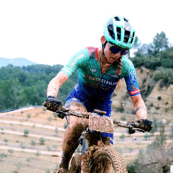 VITTORIA Barzo 29x2.25 XC Race Brown-blk-blk G2.0