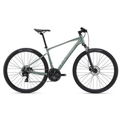 Roam 4 Disc M Misty Forest