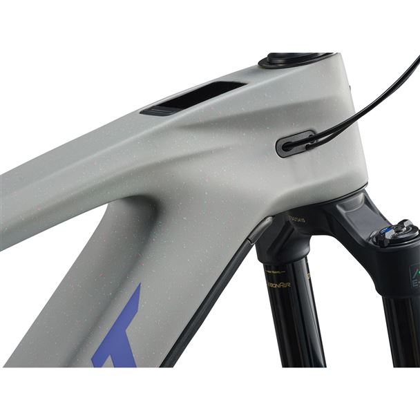 Reign Advanced E+ 2 M Moon Dust