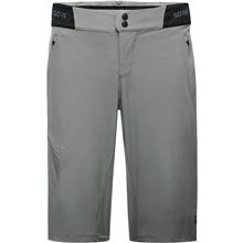 GORE C5 Shorts-lab gray-XXL