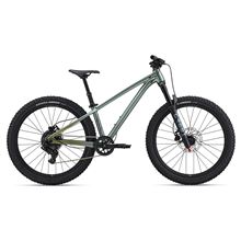 STP 24-LIV One Size Alpine Green