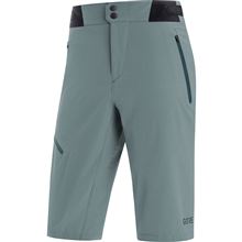 GORE C5 Shorts-nordic-XL