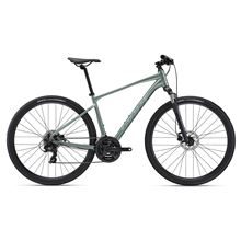 Roam 4 Disc M Misty Forest